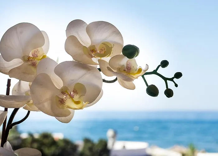 Sea Front In 마르베야